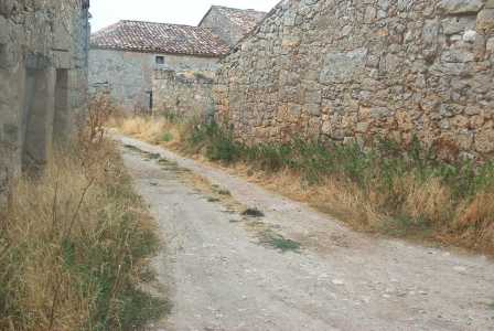 Calle desierta, en verano